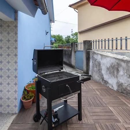 Casa Azul Belgica, * Fiscal