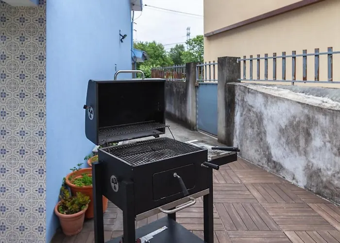 Casa Azul Belgica, * Fiscal